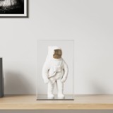 VidaXL Cutie de prezentare, transparent, 22x18x35 cm, acril
