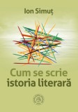 Cum se scrie istoria literara, Ion Simut