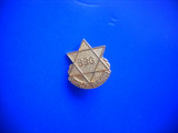 HOPCT INSIGNA VECHE BBG STAR OF DEBORAH-CRUCEA LUI DAVID, Europa