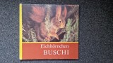 EICHHORNCHEN BUSCHI - Carte pentru copii in limba germana
