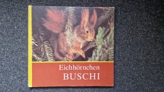 EICHHORNCHEN BUSCHI - Carte pentru copii in limba germana