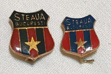 Fotbal Club Steaua Bucuresti - Lot x 2 bucati variante difer, insigna anii 1970