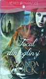 Amanda Quick - Focul din oglinzi