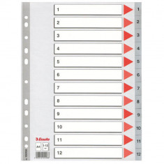 Index A4 Esselte, cu 12 Separatoare, Plastic, Gri, Index de Plastic cu Separatoare 1-12, Index de Plastic Numerotat cu Separatoare, Index de la 1 la 1