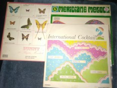 24 VINILURI MUZICA POP ETC