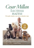 Lectiile haitei | Cesar Millan