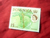 Timbru Dominica colonie britanica 1963 R. Elisabeta II ,banane val. 15c, Nestampilat