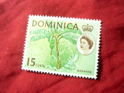 Timbru Dominica colonie britanica 1963 R. Elisabeta II ,banane val. 15c foto