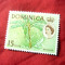Timbru Dominica colonie britanica 1963 R. Elisabeta II ,banane val. 15c