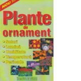 Plante de ornament - gradina de flori
