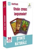 Cumpara ieftin Unde cresc legumele? Stiinte naturale/***
