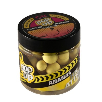 POP-UP HA ANANAS 10 &amp;amp; 14 MM 40 GR foto