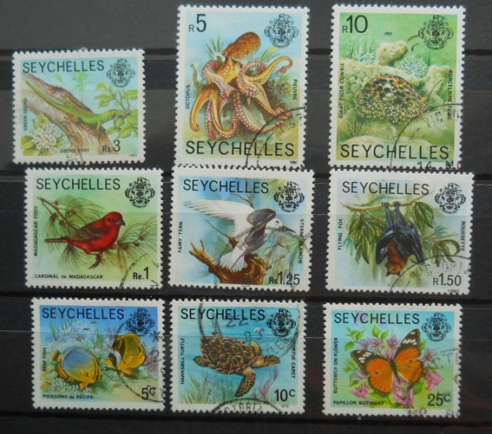 SEYCHELLES FAUNA