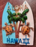 D3 - Magnet frigider - Tematica turism - Hawaii - America 5