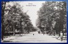 Braila 1917 - Aleea Monumentului - Denkmal Allee - printata, necirculata, Fotografie