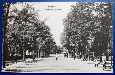 Braila 1917 - Aleea Monumentului - Denkmal Allee - printata, necirculata foto