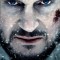 The Grey