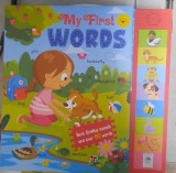 My first words ( Primele mele cuvinte - carte in limba engleza )