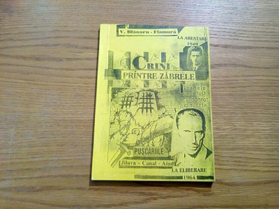 CRINI PINTRE ZABRELE - V. Blanaru Flamura - Editura Sepco, 2000, 144 p. foto