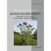 Jeltelen felhők k&ouml;z&ouml;tt - Fejezetek a 20-21. sz&aacute;zad k&ouml;lt&eacute;szet&eacute;nek alakul&aacute;st&ouml;rt&eacute;net&eacute;ből - Kulcs&aacute;r-Szab&oacute; Zolt&aacute;n