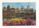 FA1 - Carte Postala - BELGIA - Bruxelles, Grand Place, circulata, Fotografie