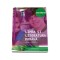 Anca Davidoiu Roman - Limba si literatura romana clasa a VIII-a. Ed a III-a