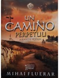 Mihai Fluerar - Un camino perpetuu (Editia: 2014)