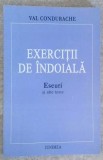 Exercitii de indoiala. Eseuri si alte texte - Val Condurache - Editura Junimea, 1999. Carte de critica literara