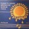 Disc vinil, LP. PLOUA CU SOARE-MARIUS TEICU-218214