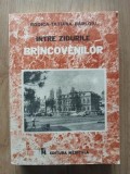 Intre zidurile brincovenilor- Rodica-Tatiana Barloiu