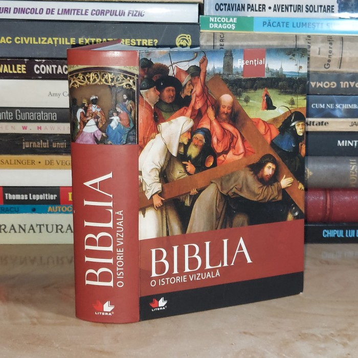 BIBLIA * O ISTORIE VIZUALA , 2010 #