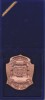Placheta Aniversara 1 Decembrie 1918-2003 Alba Iulia Romania, 50x75mm, 43g, Cutie - Numismatica