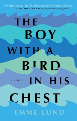 The Boy with a Bird in His Chest foto