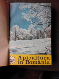 REVISTA APICULTURA IN ROMANIA, 1987 12 NUMERE COLIGATE