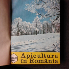 REVISTA APICULTURA IN ROMANIA, 1987 12 NUMERE COLIGATE