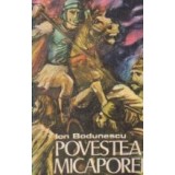 Povestea Micaporei
