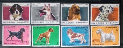 Umm al Qwain 1967 c&amp;acirc;ini de rasă , fauna animale , serie 8v neștampilata foto
