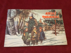 Revista Arici Pogonici nr 12 anul 1959 ! foto