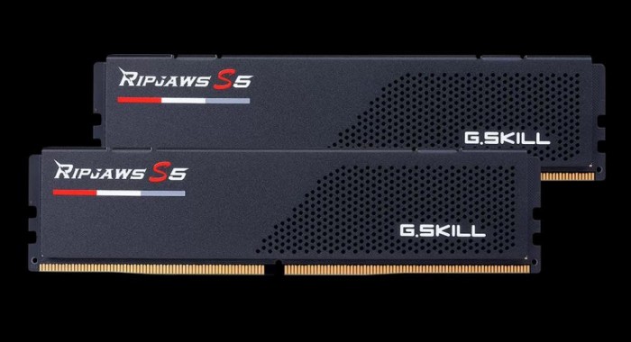 DDR G.Skill MEMORY DIMM 32GB DDR5-5600 K2/F5-5600J4040C16GX2-RS5 G.SKILL &quot;F5-5600J4040C16GX2-RS5K&quot;