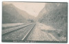 3539 - TURNU ROSU, Sibiu, Railway, Romania - old postcard, real PHOTO - unused, Necirculata, Fotografie