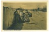 4356 - DOBROGEA, Gypsy, Romania - old postcard - unused, Necirculata, Printata