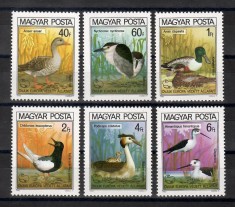 Ungaria 1980 - Păsări - Conservarea Naturii, Serie + 2 colite DT+NDT.4 poze, MNH