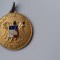 Medalie campionatul de TIR club sportiv AERONAUTICA MILITARE ITALIANA 33mm