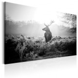 Cumpara ieftin Tablou - Black and White Deer 120x80 cm