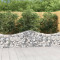 Cosuri gabion arcuite 18 buc, 200x30x60/80 cm, fier galvanizat GartenMobel Dekor