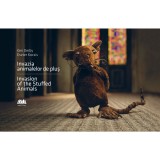 Cumpara ieftin Invazia Animalelor De Plus - Invasion Of The Stuffed Animals (Editie Bilingva), Ken Derby, Eszter Kocsis - Editura Casa