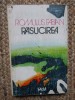 Răsucirea - Romulus Fabian