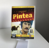 Film Rom&acirc;nesc - DVD - Pintea