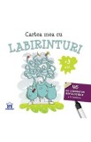 Cartea mea cu labirinturi. 46 de labirinturi refolosibile + carioca