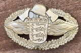QW9 N9 6 - insigna - tematica militara - pompieri - insigna de performanță a brigăzii de pompieri din Baden-W&uuml;rttemberg